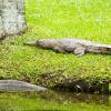 Australia 2013-012