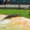 Australia 2013-027