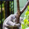 Australia 2013-036