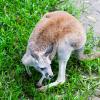 Australia 2013-045