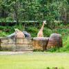 Australia 2013-064