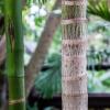 Australia 2013-026