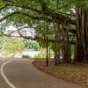 Australia 2013-040