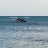 Australia 2013-054