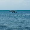 Australia 2013-057