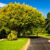 Australia 2013-026