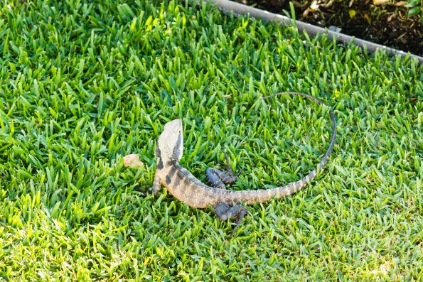Australia 2013-014