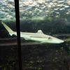 Australia 2013-034