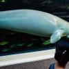 Australia 2013-038