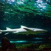 Australia 2013-050