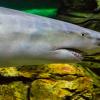 Australia 2013-051