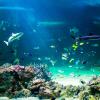 Australia 2013-065