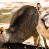 Australia 2013-024