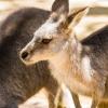 Australia 2013-025
