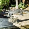 Australia 2013-026