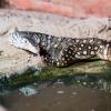 Australia 2013-029