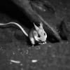 Australia 2013-030