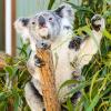 Australia 2013-037