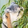 Australia 2013-038