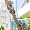 Australia 2013-045