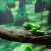 Australia 2015-026