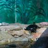 Australia 2015-031