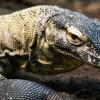 Australia 2015-034