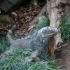 Australia 2015-043