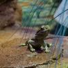 Australia 2015-048