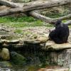 Australia 2015-060