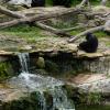 Australia 2015-061