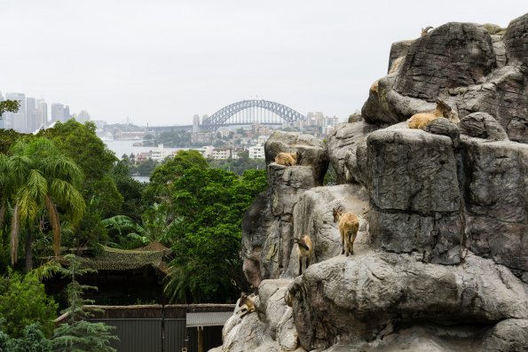 Australia 2015-066