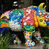 Australia 2015-068