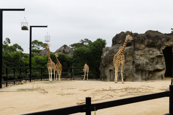Australia 2015-069