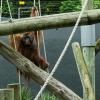 Australia 2015-079