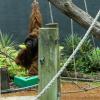 Australia 2015-080