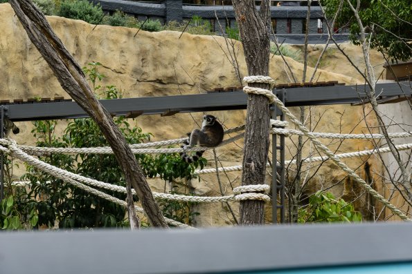Australia 2015-083