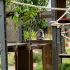 Australia 2015-084