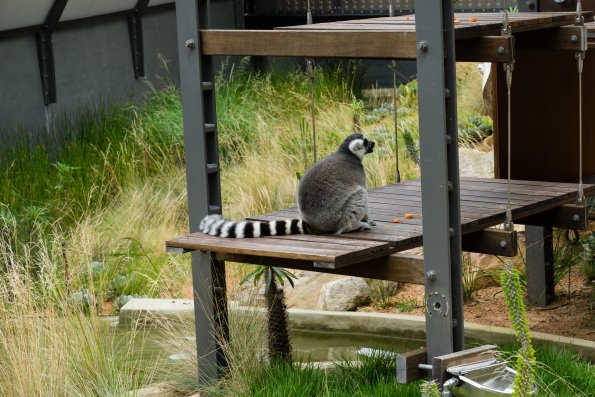 Australia 2015-085
