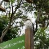 Australia 2015-090