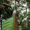 Australia 2015-091