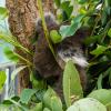 Australia 2015-099