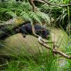 Australia 2015-129