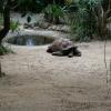 Australia 2015-157