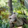 Australia 2015-189