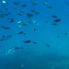 Crete 2014-089