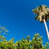 Crete 2014-066