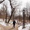 New York 2014-021