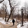 New York 2014-022