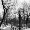 New York 2014-023